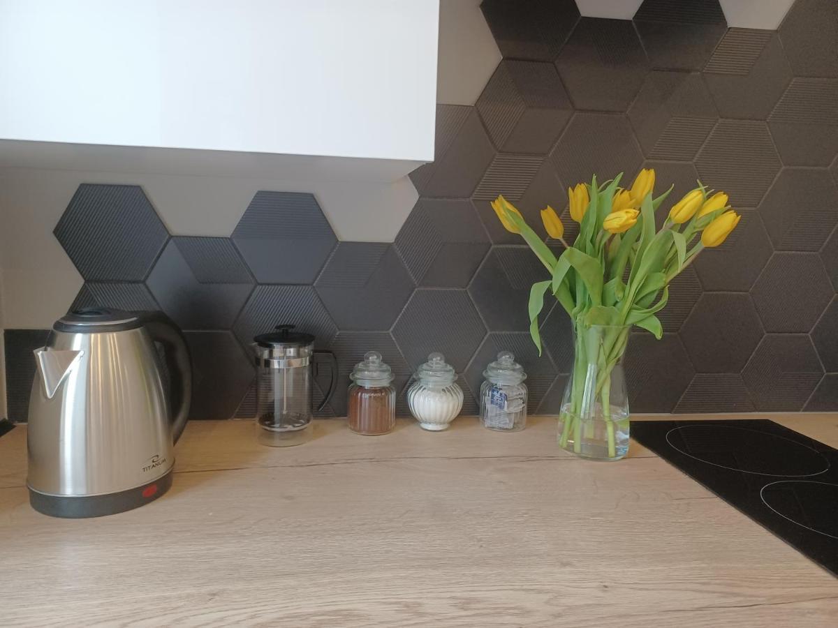 לודז' Apartament Piotrkowska 37 Studio מראה חיצוני תמונה