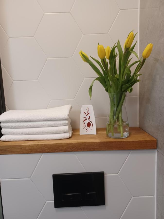 לודז' Apartament Piotrkowska 37 Studio מראה חיצוני תמונה