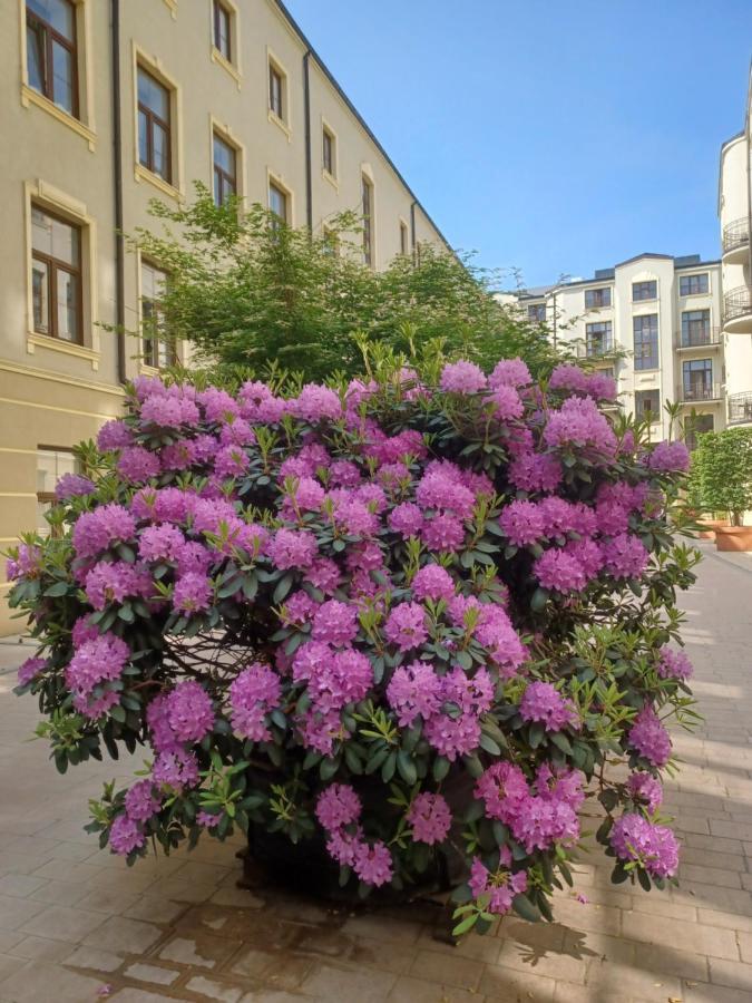 לודז' Apartament Piotrkowska 37 Studio מראה חיצוני תמונה